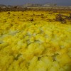 Dallol, Danakil