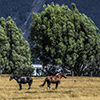 New Zealand, Southern Alps, Queenstown, Wakatipu