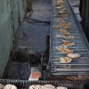 India, Amritsar, Golden Temple