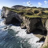 xflo:w Fotokalender 2014, Neuseeland Küsten Tierwelt