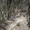 Neuseeland, Abel-Tasman-Nationalpark