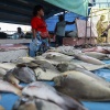 Fiji, Suva market