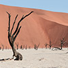 Deadvlei, Namibia