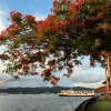 Fiji, Suva, harbour, sunset