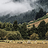 New Zealand, Abel Tasman national park