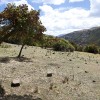 Simien Mountains