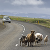 Iceland, Westfjords scenery