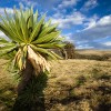 Simien Mountains