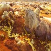 Dallol, Danakil