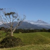 Taupo volcanic zone, Taranaki