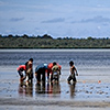 Tonga, People