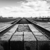 Vernichtungslager Auschwitz-Birkenau