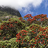 Neuseeland, Doubtful Sound