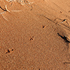 Namib sunrise