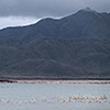 New Caledonia, Lac Yate, Lake Yate