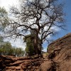 Lalibela, Felskirchen