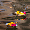 Ghats and Hindus, Varanasi/India