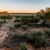 Botswana, Kalahari Transfrontier