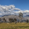 New Zealand, Southern Alps, Queenstown, Wakatipu