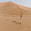 Dasht-e Lut desert, Iran