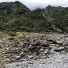 New Zealand, Fox Glacier