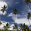 Papua-Neuguinea, Rabaul, Tavurvur, Matupit