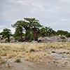 Makgadikgadi Pan, Kubu Island