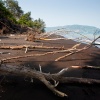 Anak Krakatoa, Volcano