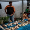 Fiji, Suva market