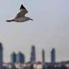 Istanbul, Bosporus und Stadt