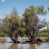 Namiba, Epupa Falls, Himba