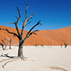 Deadvlei, Namibia