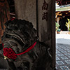 Thian Hock Keng Temple