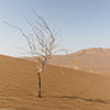 Dasht-e Lut desert, Iran