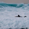 Lanzarote Surfer