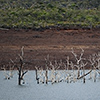 New Caledonia, Lac Yate, Lake Yate