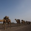 Danakil depression