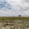 Makgadikgadi Pan