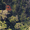 New Zealand, Doubtful Sound