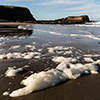 North Berwick coast