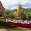 Maori culture,Marae