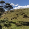 Neuseeland, Abel-Tasman-Nationalpark