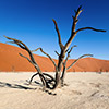 Deadvlei, Namibia