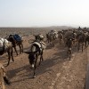 Danakil depression