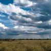 Botswana, Kalahari, CKGR