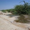 Danakil depression