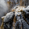 Rotorua, Whakarewarewa, geyser