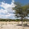 Namiba, Epupa Falls, Himba