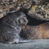 Neuseeland, Abel-Tasman-Nationalpark