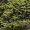 Neuseeland, Abel-Tasman-Nationalpark